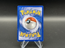 Hippopotas - 64/111 Rising Rivals - Pokemon TCG - 2009 - Image 2