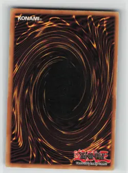 MP Berserk Dragon DR1-EN181 Super Rare Dark Revelation Volume 1 Yu-Gi-Oh 2005 - Image 2