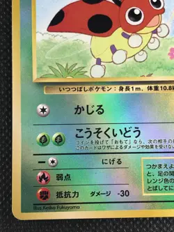 Ledyba Southern Islands Promo Pokemon Card Game Japanese Holo NINTENDO - Image 4