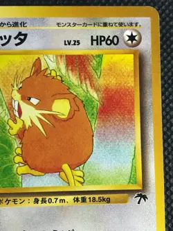 Raticate Southern Islands Promo Vintage Pokemon Card Game Japanese NINTENDO 2 - Image 3