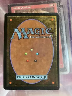 Tropical Island Revised Edition Regular - Image 2