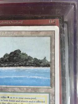 Tropical Island Revised Edition Regular - Image 5