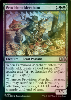 MTG Provisions Merchant Foil ** Wilds of Eldraine ** English - Image 1