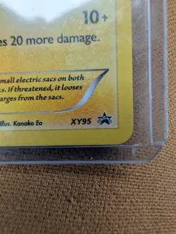 Pokemon Pikachu (XY95 Black Star Promo Holo Rare)-Let’s Eat Together 2016 - Image 3