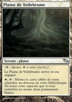 *MRM* FR/VF Plaine de Voilebrume - Mistveil Plains NM MTG SHM - Image 1