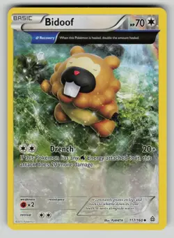 Bidoof 117/160 Primal Clash Pokemon NM - Image 1