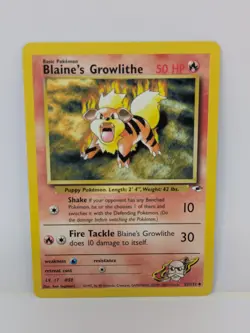 Trading Card dog - Card WOTC NM - Image 1