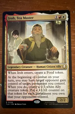 Iroh, Tea Master Avatar: The Last Airbender Regular - Image 1