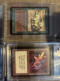 MTG Beta uncommon Lot - Image 2