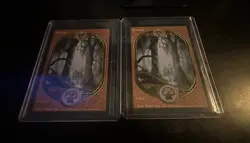 2 X MTG Swamp Basic Land Unglued Set Alt Artwork - Image 1
