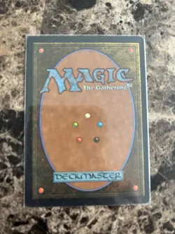 Chronatog - Visions, NM Magic MTG] - Image 2