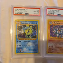 2016 POKEMON XY EVOLUTIONS POLIWRATH MACHAMP GYARADOS ZAP PSA 10 HOLOS LOW POPS - Image 2
