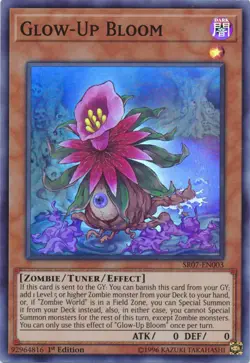 1x Glow-Up Bloom - SR07-EN003 - Super Rare - 1st Edition NM YuGiOh! Structure D - Image 1