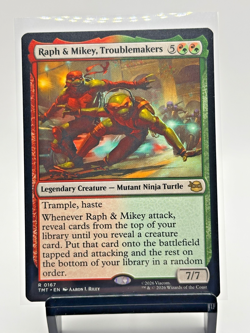 Raph & Mikey, Troublemakers Teenage Mutant Ninja Turtles Regular - Image 1