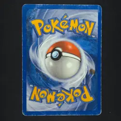 Ursaring 110/144 - Skyridge - Pokemon Card - Image 2