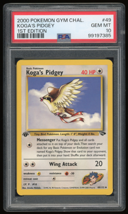 POKEMON PIDGEY + PIDGEOTTO + STARYU + POLIWAG + MACHOP PSA 10 CARD LOT - Image 1