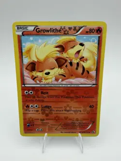 Pokemon Growlithe Radiant Collection Holo Uncommon Basic 80HP RC4/RC25 English … - Image 1