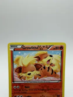 Pokemon Growlithe Radiant Collection Holo Uncommon Basic 80HP RC4/RC25 English … - Image 4