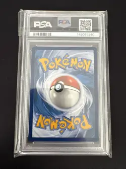 Raboot 147 Pokemon Stellar Crown Illustration Rare PSA 10 - Image 2