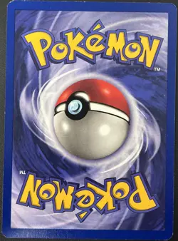 Pikachu 4/53 Black Star Rare Promo WOTC Pokemon Card NM - Image 2