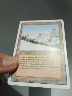 MTG Taiga Revised MP - Magic: The Gathering - Image 3