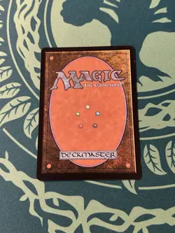 Ran And Shaw 325 Borderless NON Foil Avatar Last Airbender TLA MTG Magic - Image 2