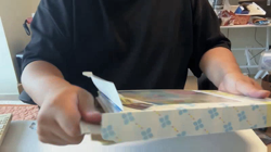 Lillie Pokemon Battle Partners Binder Collection Set Korean New Sealed 1 Box - Image 2