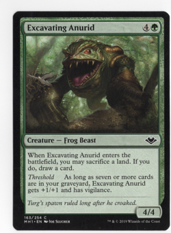 MTG-Excavating Anurid-Modern Horizons-163-LP-NonFoil - Image 1