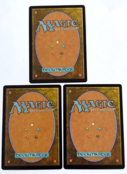 3x Season of Loss (Borderless) - Bloomburrow (BLB) - EN - M 0284 - Image 2