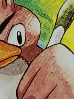 Pokemon TCG FARFETCH'D 1ST EDITION Shadowless Base Set 27/102 NM - Image 4