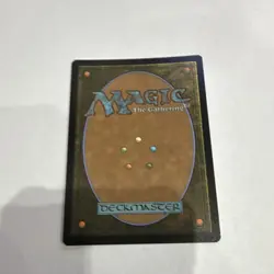 Splinter of the Shadows Borderless 0006 MTG Teenage Mutant Ninja Turtles Foil - Image 2