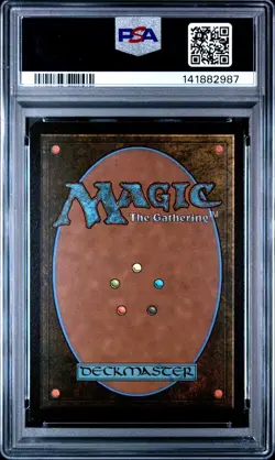 2025 MTG Spider-Man English Spider-Punk Web-Slinger Borderless Foil PSA 8 #0210 - Image 2