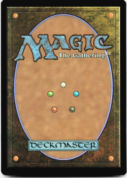 Appa, the Vigilant (Borderless Foil) - Avatar: The Last Airbender - MTG TLE 0062 - Image 3