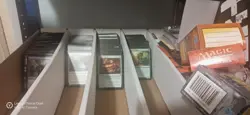 1000 Magic The Gathering commons no duplicates - Image 1