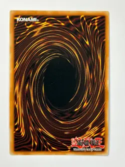 Yugioh Dark Paladin DMG-001 Secret Rare Limited Edition Vintage Original 2003 - Image 2