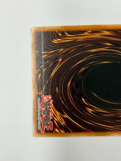 Yugioh Dark Paladin DMG-001 Secret Rare Limited Edition Vintage Original 2003 - Image 3