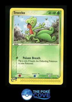 Treecko 75/109 | Ruby & Sapphire | Pokemon Common | NM - Image 1