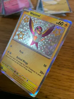 NM! Wattrel (145/091) Paldean Fates Baby Shiny Rare Pokemon Card! FAST P&P! - Image 4
