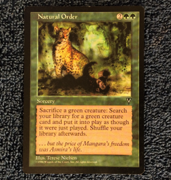 NATURAL ORDER rare 1997 Visions MTG Unplayed Near mint - Image 3