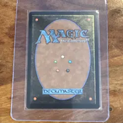 Plains, Full Art Foil - 1939, Spongebob Squarepants Secret Lair Drop, MTG NM - Image 2