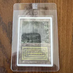 Magic The Gathering 1994 Bayou Rare Revised Edition - Image 3