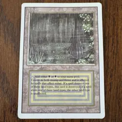 Magic The Gathering 1994 Bayou Rare Revised Edition - Image 1