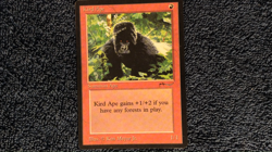 KIRD APE Arabian Nights common Magic the Gathering NM to LP - Image 2