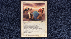 CAMEL Arabian Nights common Magic the Gathering Unplayed Near Mint - Image 2