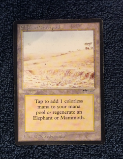 ELEPHANT GRAVEYARD Arabian Nights rare Magic the Gathering Moderate play - Image 4