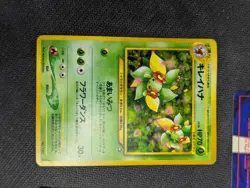 Pokemon TCG Neo Genesis Japanese Old Back 14Card Lot, Holo Rare, LP-HP Condition - Image 3