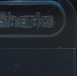 2004 POKEMON EX HIDDEN LEGENDS #55/101 CHIKORITA REVERSE HOLO - Image 5