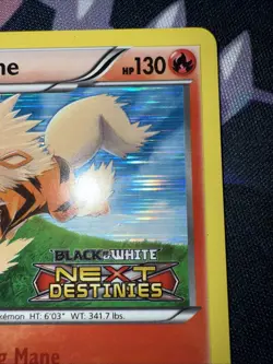 Pokemon - Arcanine STAFF Prerelease Promo 12/99 - Black & White - Next Destinies - Image 4