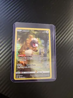 2023 Pokemon Crown Zenith Galarian Gallery Bidoof - GG29/GG70 - Holo Card NM - Image 1