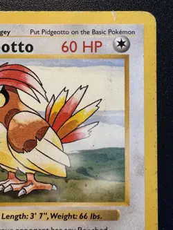 1st Edition Shadowless Pidgeotto 22/102 Base Set Pokemon Card Rare HP - Image 4
